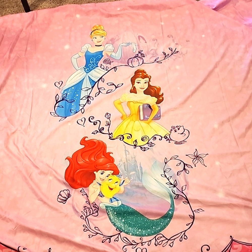 Disney Princess Shower Curtain with princess hooks